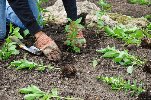 Close-up of stump grinding work in a residential outdoor space in Millhill