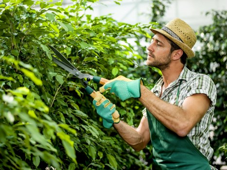 Tree surgeons preparing a service agreement for a customer
