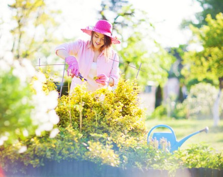 Final contractual terms for tree surgeons in England and Wales