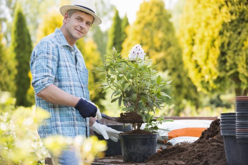 Safety-controlled tree surgery near a property with protective barriers